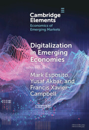 Elements in the Economics of Emerging Markets