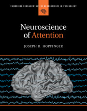 Cambridge Fundamentals of Neuroscience in Psychology